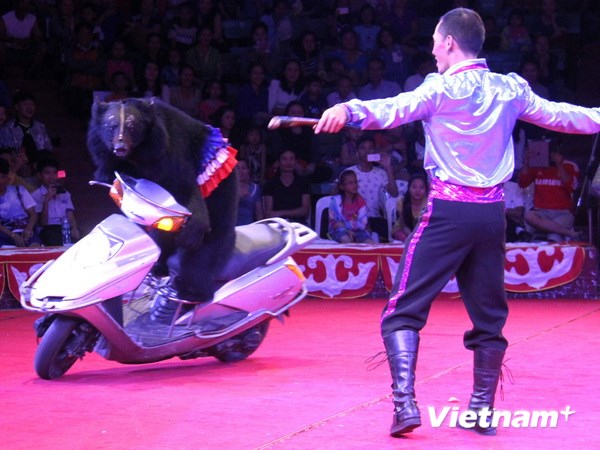 Special circus program serves Vietnamese community in Laos